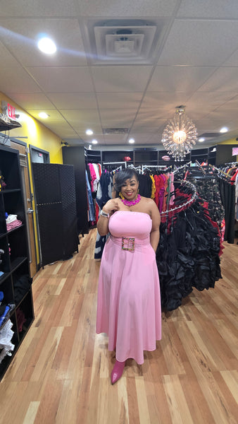 Pink Stallion Dress