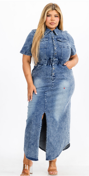 Devale Denim Dress