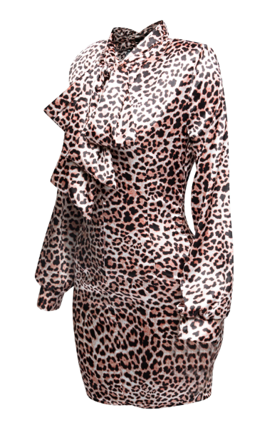 Fly Girl Leopard Dresss