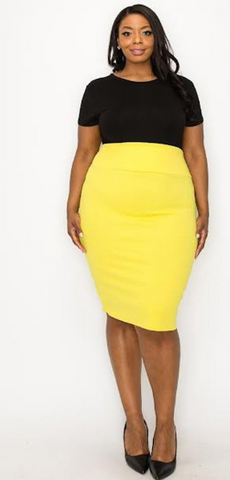 Pencil Skirt